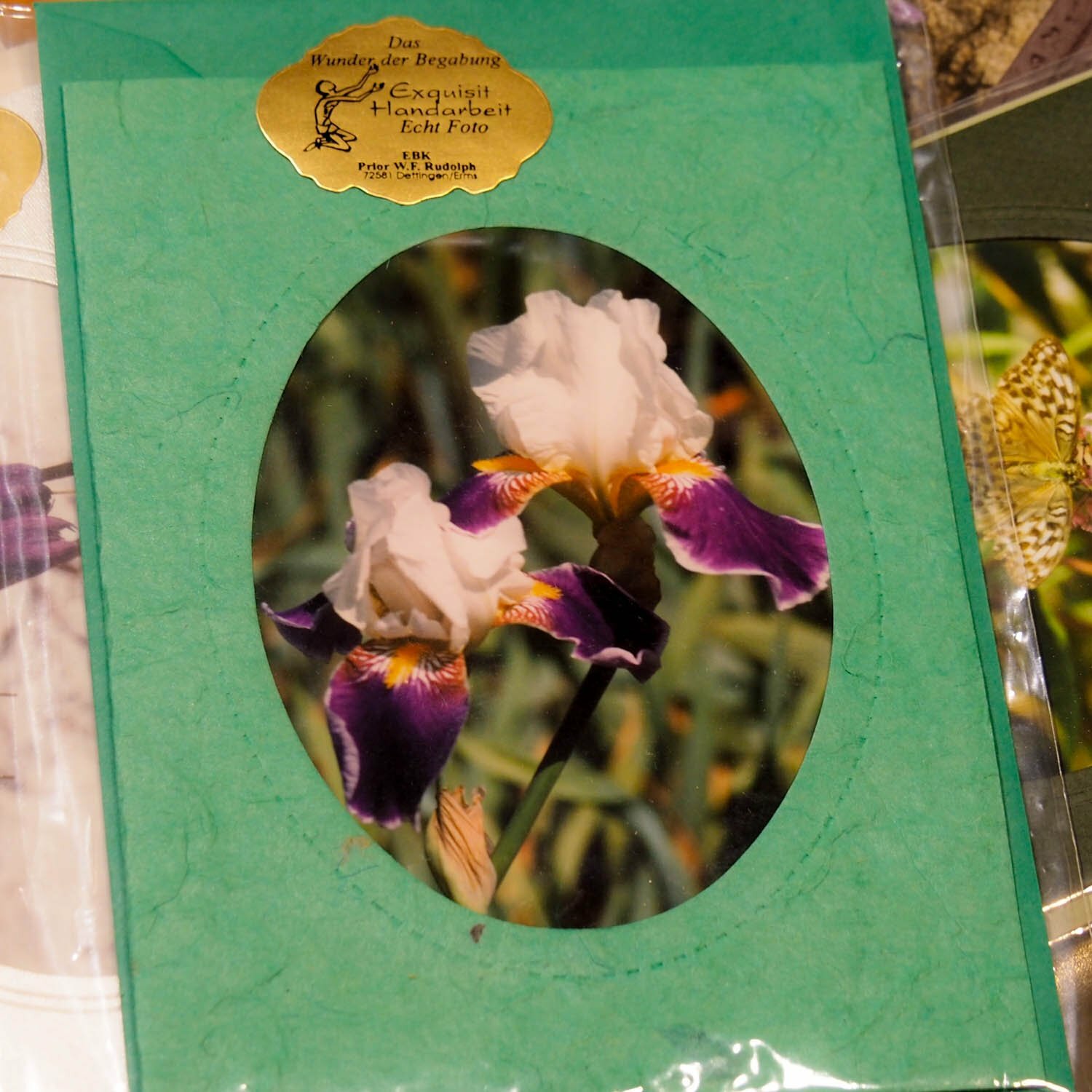 12 Passepartout Doppelkarten mit Umschlag