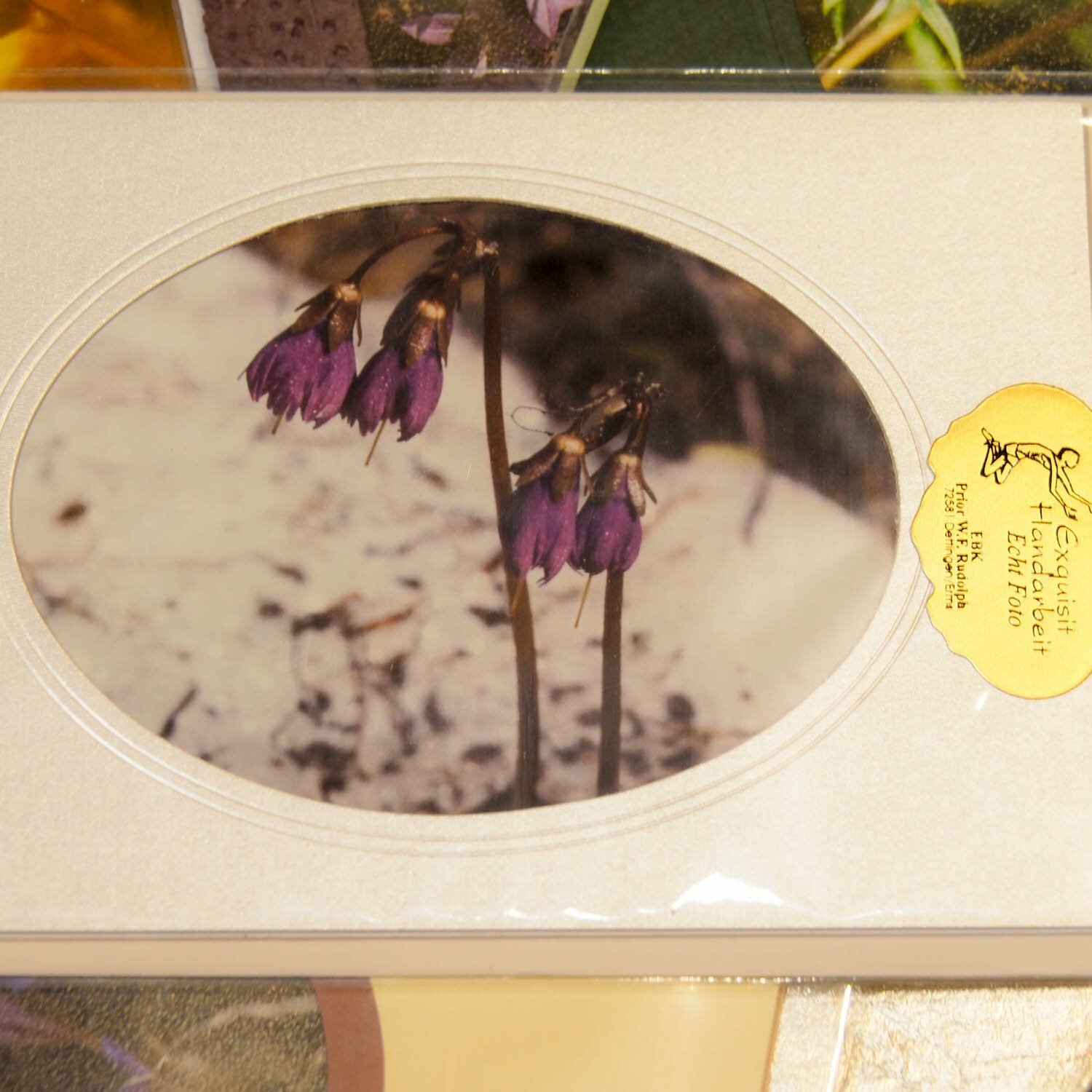 12 Passepartout Doppelkarten mit Umschlag